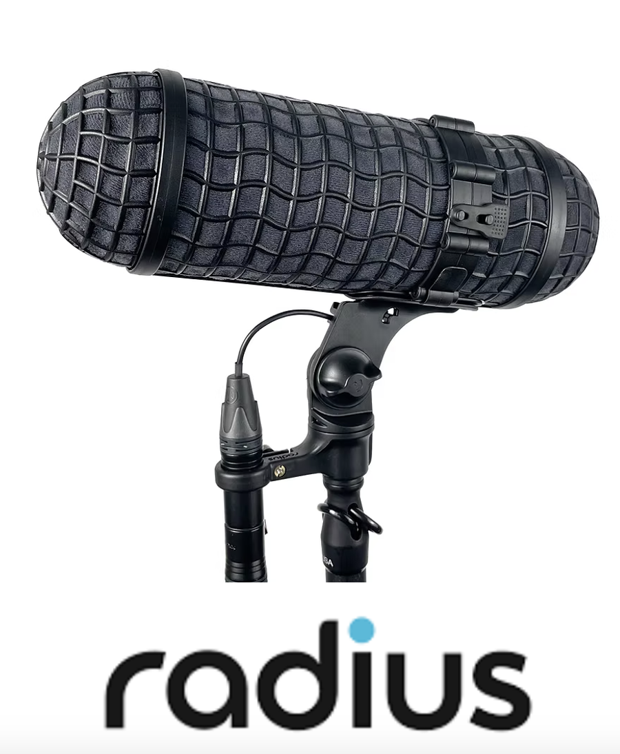 Radius Windshields